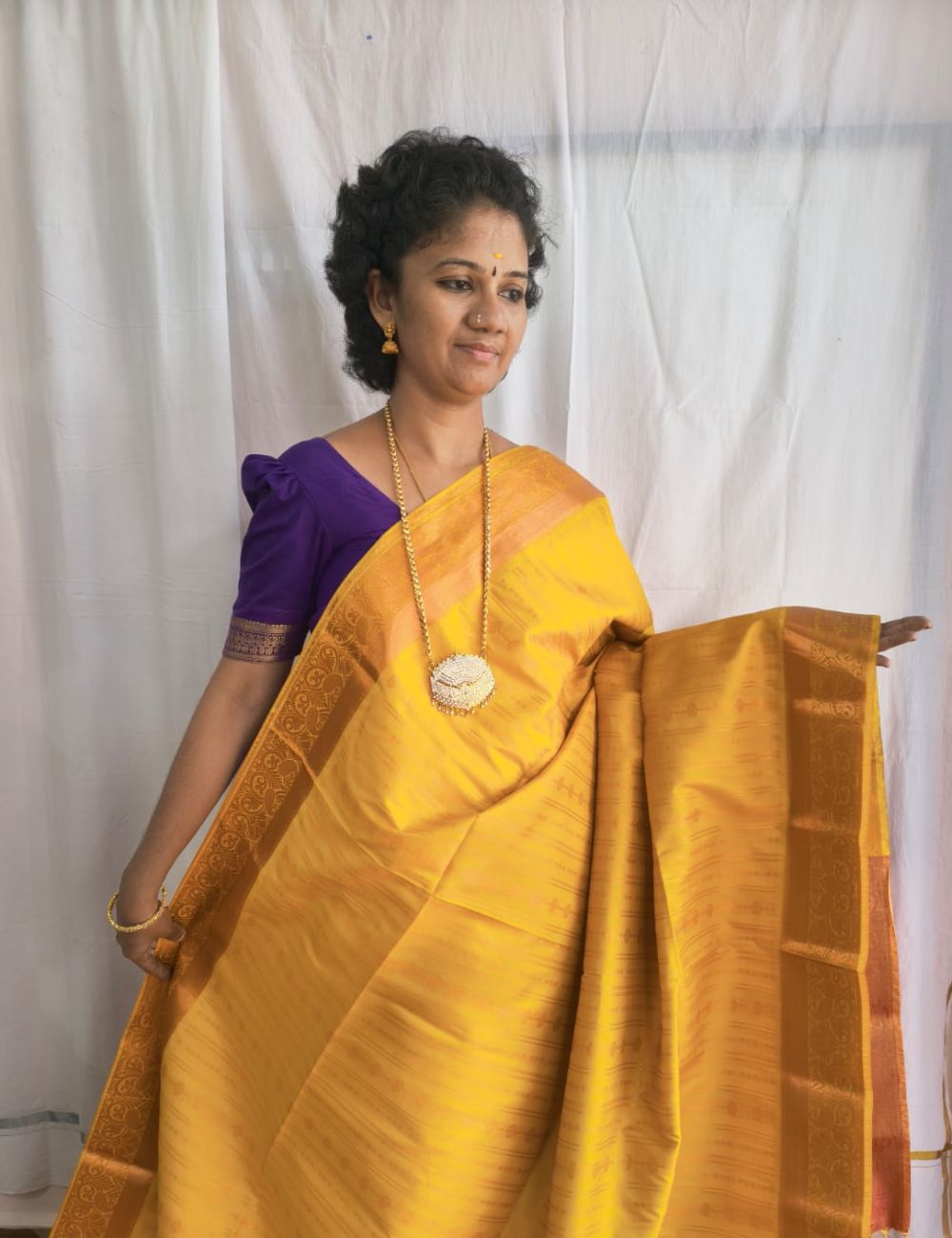 Semi Soft silk Sarees
