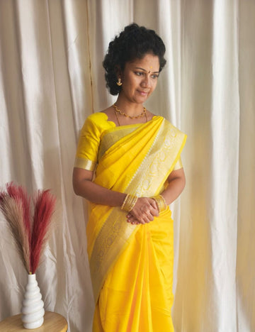Banarasi silk saree